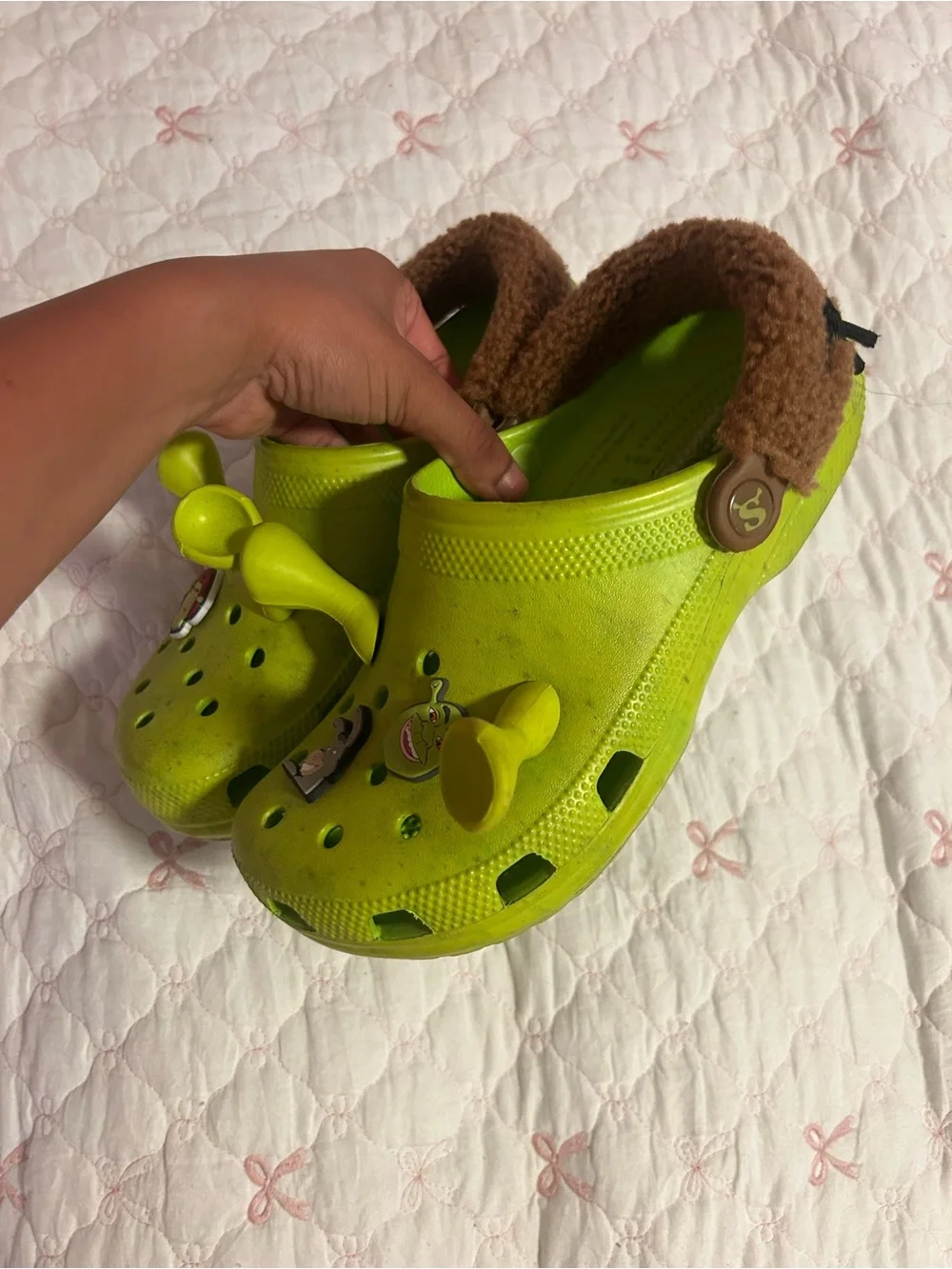 Shrek Crocs